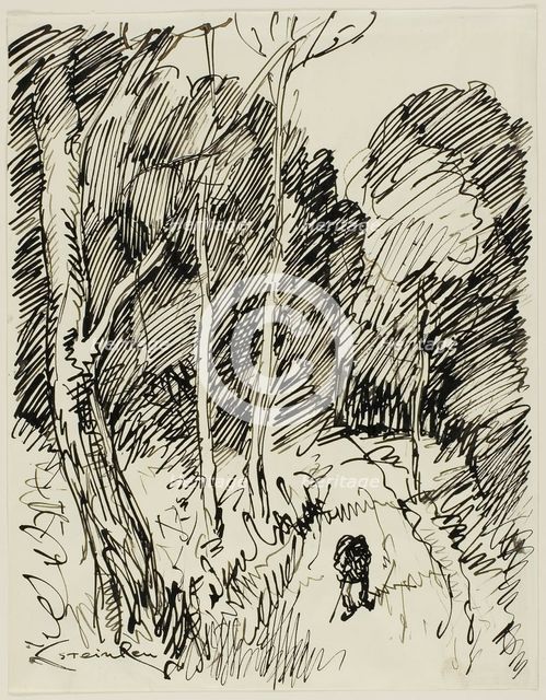 Wooded Landscape with Vagabond, n.d. Creator: Theophile Alexandre Steinlen.