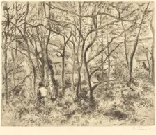 Wooded Landscape at L'Hermitage, Pontoise (Paysage sous bois, a L'Hermitage, Pontoise), 1879. Creator: Camille Pissarro