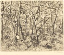Wooded Landscape at L'Hermitage, Pontoise (Paysage sous bois, a L'Hermitage, Pontoise), 1879. Creator: Camille Pissarro
