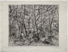Wooded Landscape at LHermitage, Pontoise, 1879. Creator: Camille Pissarro (French, 1830-1903)