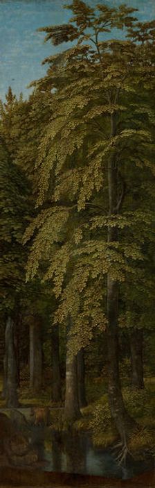 Wooded Landscape, c1470-1523. Creator: Gerard David