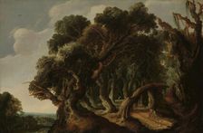 Wooded Landscape, c.1633. Creator: Jacob Jacobsz. Van Geel