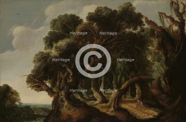 Wooded Landscape, c.1633. Creator: Jacob Jacobsz. Van Geel.