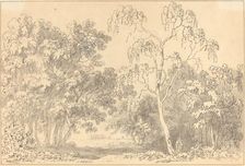 Wooded Landscape. Creator: Anthony Devis
