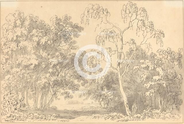 Wooded Landscape. Creator: Anthony Devis.