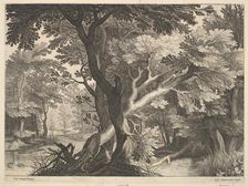 Wooded landscape. Creator: Raphael Sadeler