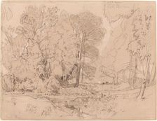 Wooded Landscape, probably 1841. Creator: John Sell Cotman