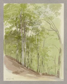 Wooded slope, a wild boar in the middle ground, 1856. Creator: Carl Theodor Reiffenstein