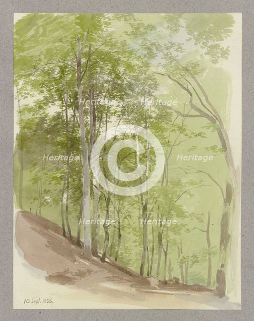 Wooded slope, a wild boar in the middle ground, 1856. Creator: Carl Theodor Reiffenstein.