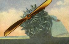 Wooden aircraft propeller made by the Schwarz Propeller-Werk company, 1932. Creator: Unknown