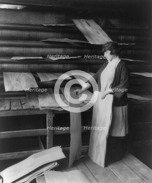 Wooden box industry, c1910. Creator: Frances Benjamin Johnston.