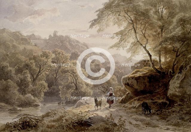 Woodland and River Scene, 19th century. Creator: Unknown.