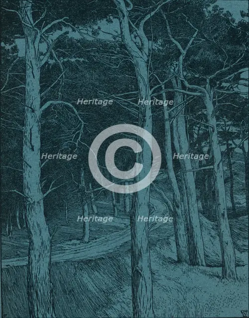 Woodland, c1912. Artist: Willem Wenckebach.