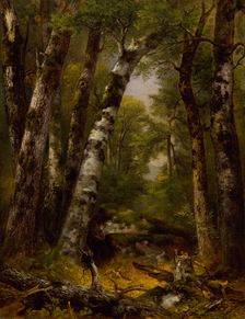 Woodland Glen, ca. 1850-1855. Creator: Asher Brown Durand