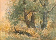 Woodland Landscape, 1881. Creator: William Forsyth