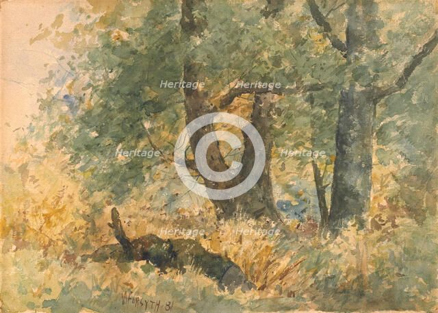 Woodland Landscape, 1881. Creator: William Forsyth.