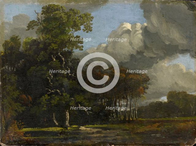 Woodland Landscape, c1816-1820. Artist: William Turner.