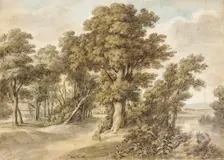 Woodland Scene, 1839. Creator: John Wilhelm Nahl