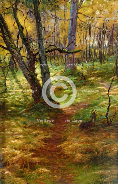 Woodland Scene, c1900s. Creator: Joseph Farquharson.