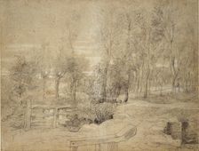 Woodland Scene, early 17th century. Artist: Peter Paul Rubens