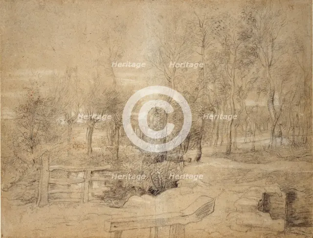 Woodland Scene, early 17th century. Artist: Peter Paul Rubens.