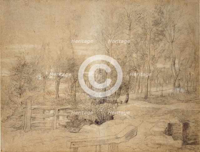 Woodland Scene, early 17th century. Artist: Peter Paul Rubens.