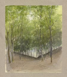 Woodland scene in a valley bottom, 1859. Creator: Carl Theodor Reiffenstein