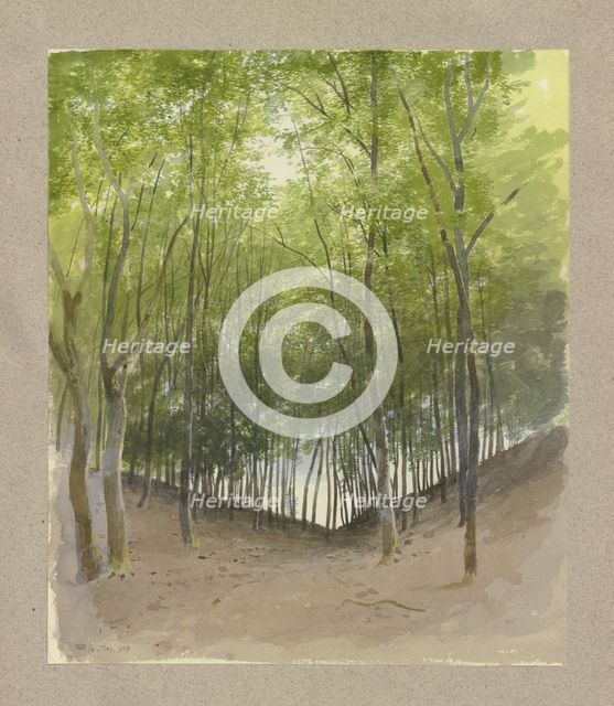 Woodland scene in a valley bottom, 1859. Creator: Carl Theodor Reiffenstein.
