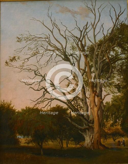 Woodland Scene with a Dead Tree, 1835. Creator: Johann Hermann Carmiencke.