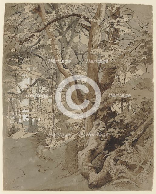 Woodland scene with an oak tree and ferns, 19th century. Creator: Johann Wilhelm Schirmer.