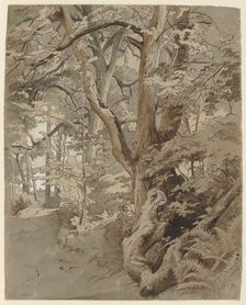 Woodland scene with an oak tree and ferns, 19th century. Creator: Johann Wilhelm Schirmer