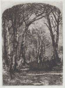 Woods [Bosco], c.1895. Creator: Mose, Bianchi