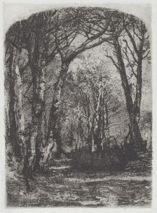 Woods [Bosco], c.1895. Creator: Mose, Bianchi