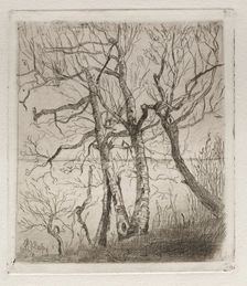 Woods by the Lake, 1878. Creator: Otto H. Bacher (American, 1856-1909)