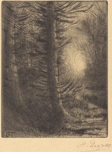 Woods in Winter Sun, 1st plate (Soleil d'hiver dans les bois). Creator: Alphonse Legros