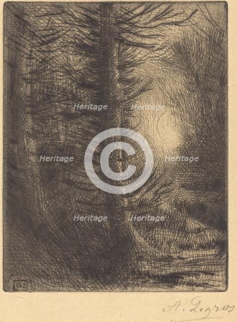 Woods in Winter Sun, 1st plate (Soleil d'hiver dans les bois). Creator: Alphonse Legros.