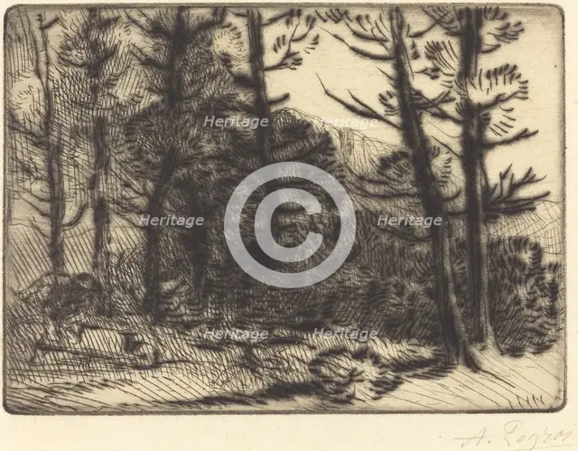 Woods in Winter Sun, 2nd plate (Soleil d'hiver dans les bois). Creator: Alphonse Legros.