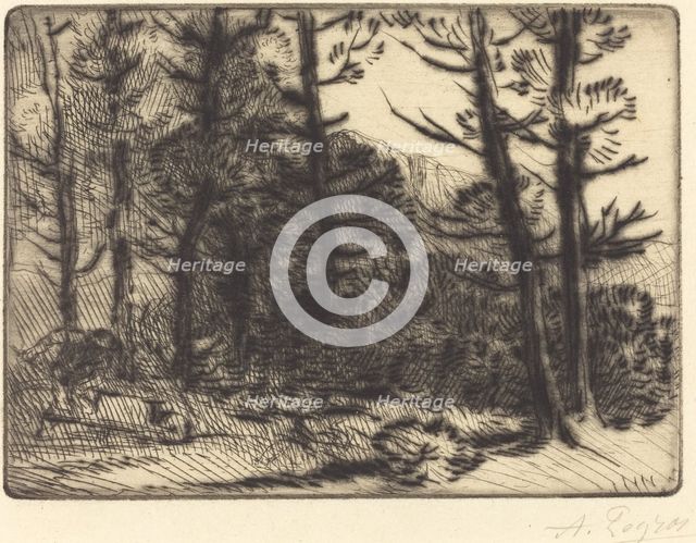 Woods in Winter Sun, 2nd plate (Soleil d'hiver dans les bois). Creator: Alphonse Legros.