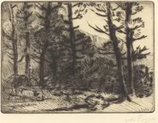 Woods in Winter Sun, 2nd plate (Soleil d'hiver dans les bois). Creator: Alphonse Legros