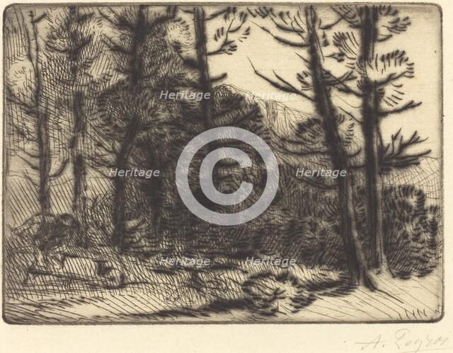 Woods in Winter Sun, 2nd plate (Soleil d'hiver dans les bois). Creator: Alphonse Legros.