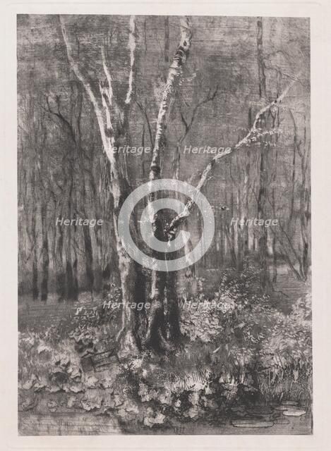 Woods in the Park near Monza, 1895. Creator: Mose, Bianchi.