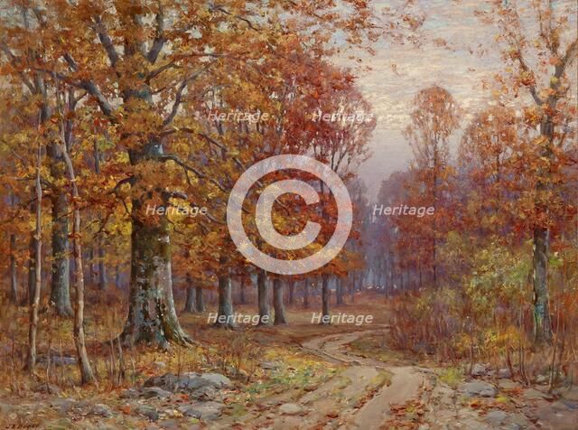 Woods Interior, date unknown. Creator: John Elwood Bundy.
