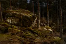 Woods Landscape, 1903-1904. Creator: Berndt Lindholm