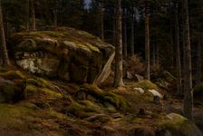 Woods Landscape, 1903-1904. Creator: Berndt Lindholm