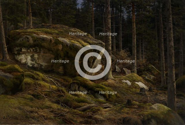 Woods Landscape, 1903-1904. Creator: Berndt Lindholm.