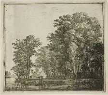 Woods Near a Canal, 1640-50. Creator: Simon de Vlieger