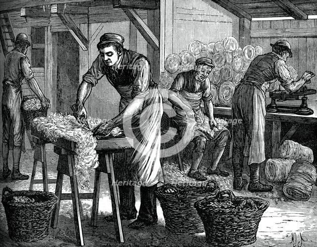 Wool sorters, c1880. Artist: Unknown