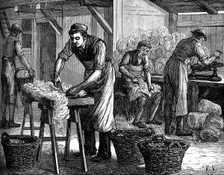 Wool sorters, c1880