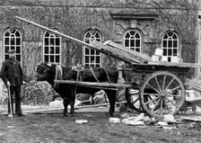 Workman posing outside a house with a bullock cart, Kingston Lisle, Oxfordshire, c1860-c1922. Artist: Henry Taunt