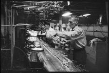 Worker at Wear Flint Glass Works, Alfred Street, Millfield, Sunderland, 1961. Creator: Eileen Deste